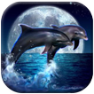 ”Dolphin Live Wallpaper