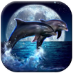 Dolphin Live Wallpaper