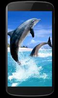 Dolphin Live Wallpaper Affiche
