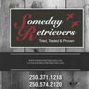 Someday Retrievers Dog Academy APK