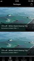 White Shark Cruises Affiche