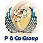 P & Co FasTrack Ltd icon