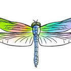 Dragonfly Pediatric OT biểu tượng