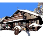 Karelia Alpine Lodge icône