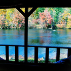 Asheville River Cabins icône