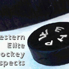 Western Elite Hockey Prospects آئیکن