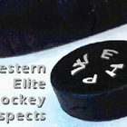 Western Elite Hockey Prospects 圖標