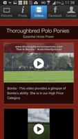 Thoroughbred Polo Ponies ảnh chụp màn hình 2