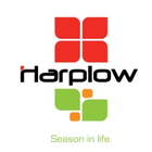 HarplowTT icon