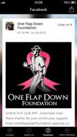 One Flap Down Foundation screenshot 1