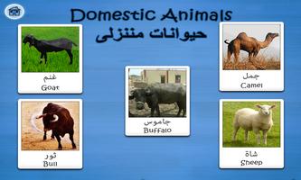 Arabic Flashcards By Tinytapps captura de pantalla 3