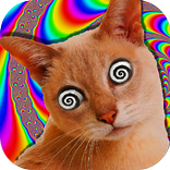 ”Hypnotic Projector Prank