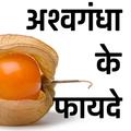 अश्वगंधा के फायदे- Ashwagandha Benefits