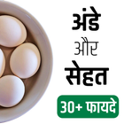 अंडे खाने के फायदे Egg Benefits icône