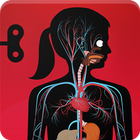 The Human Body - Subscription أيقونة