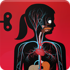 The Human Body - Subscription icon