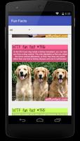 WTF Fun Facts ポスター