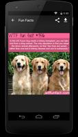 WTF Fun Facts スクリーンショット 1