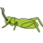 Cricket icône