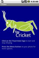 Cricket Affiche