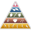 Nutritional Values
