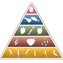 Nutritional Values APK