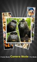 PicFrame - Photo Collage تصوير الشاشة 1