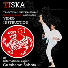 Tiska Karate ไอคอน