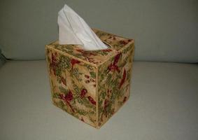 tissue box project 截圖 3