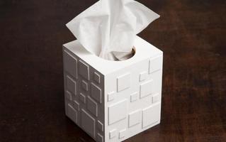 tissue box project 海报