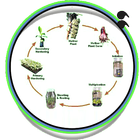 tissue culture techniques ไอคอน