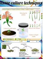 tissue culture techniques capture d'écran 1