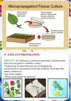 tissue culture techniques capture d'écran 2