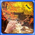 Icona Autumn Leaves Live Wallpapers