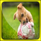 Dog Puppy Live Wallpapers icône