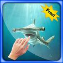 Hammerhead Live Wallpapers APK