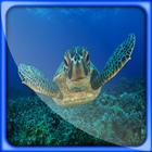 Turtle Great Live Wallpapers 图标