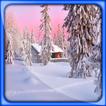 ”Winter Snow Live Wallpapers