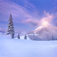 Winter Snow Live Wallpapers скриншот 3