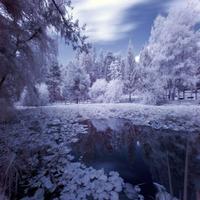 Winter Snow Live Wallpapers скриншот 2