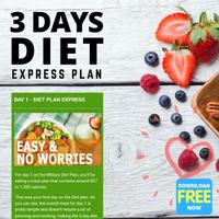 3 Day Diet Express Plan - Diet captura de pantalla 3