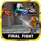 Guide For New Final Fight 2017 icône