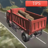Tips Truck Driver Cargo