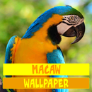 Hình nền chim Macaw APK