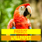 Parrot Wallpaper آئیکن