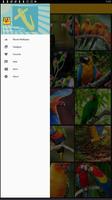 Parrot Wallpaper اسکرین شاٹ 1