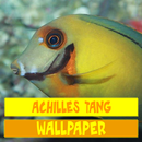Achilles Tang hình nền cá APK