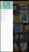 Barn Owl Birds Wallpaper स्क्रीनशॉट 1