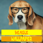 Beagle Dog Wallpaper biểu tượng