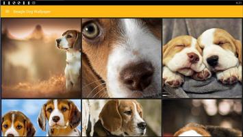 Beagle Dog Wallpaper ảnh chụp màn hình 3